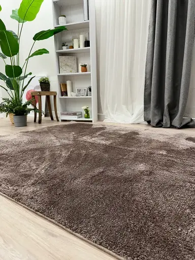 Shaggy Halı