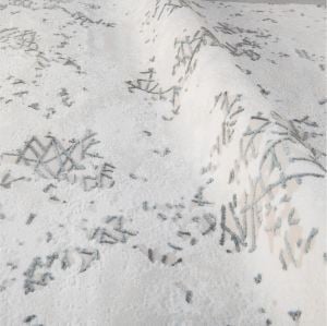 Crea Halı Diamond Özel Ebat  2101