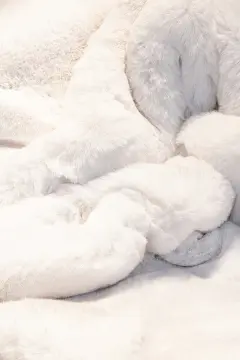 Apex Polo 8705 Beyaz