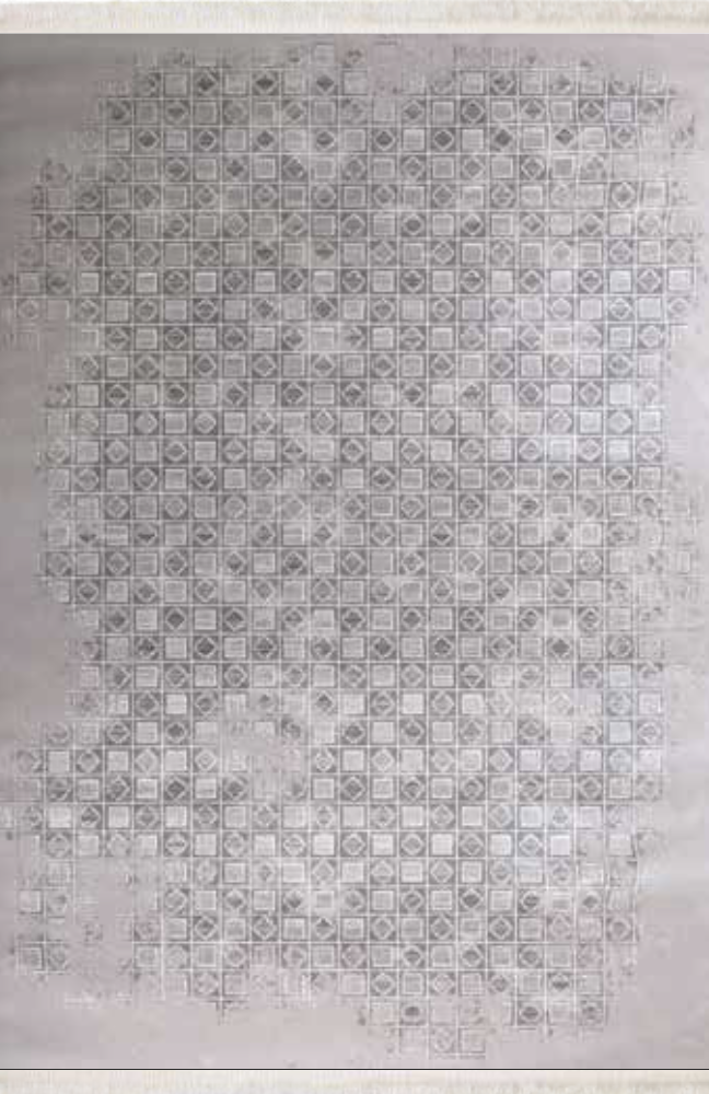 Nexus Luxury Carpet Elegant 4404