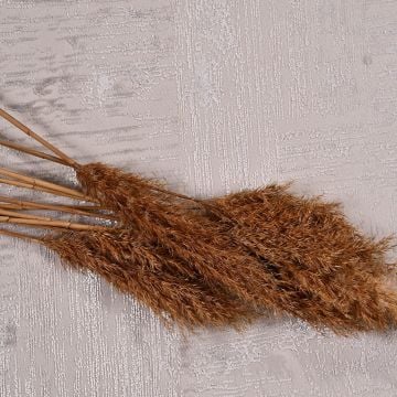 Crea Halı Odessa Özel Ebat Kesme Halı Op04