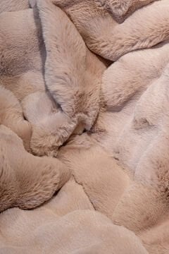 Apex Halı Molecule Peluş Halı Pudra