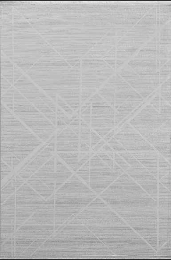 Flora Halı Silver 7202 C 100X200