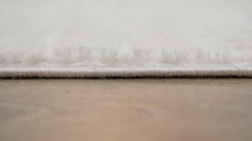 Festival Halı Mona Modern Bej Oda Halısı M2101A