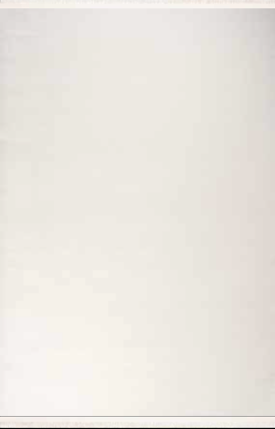 Nexus Luxury Zümrüt Carpet 3009C Beyaz