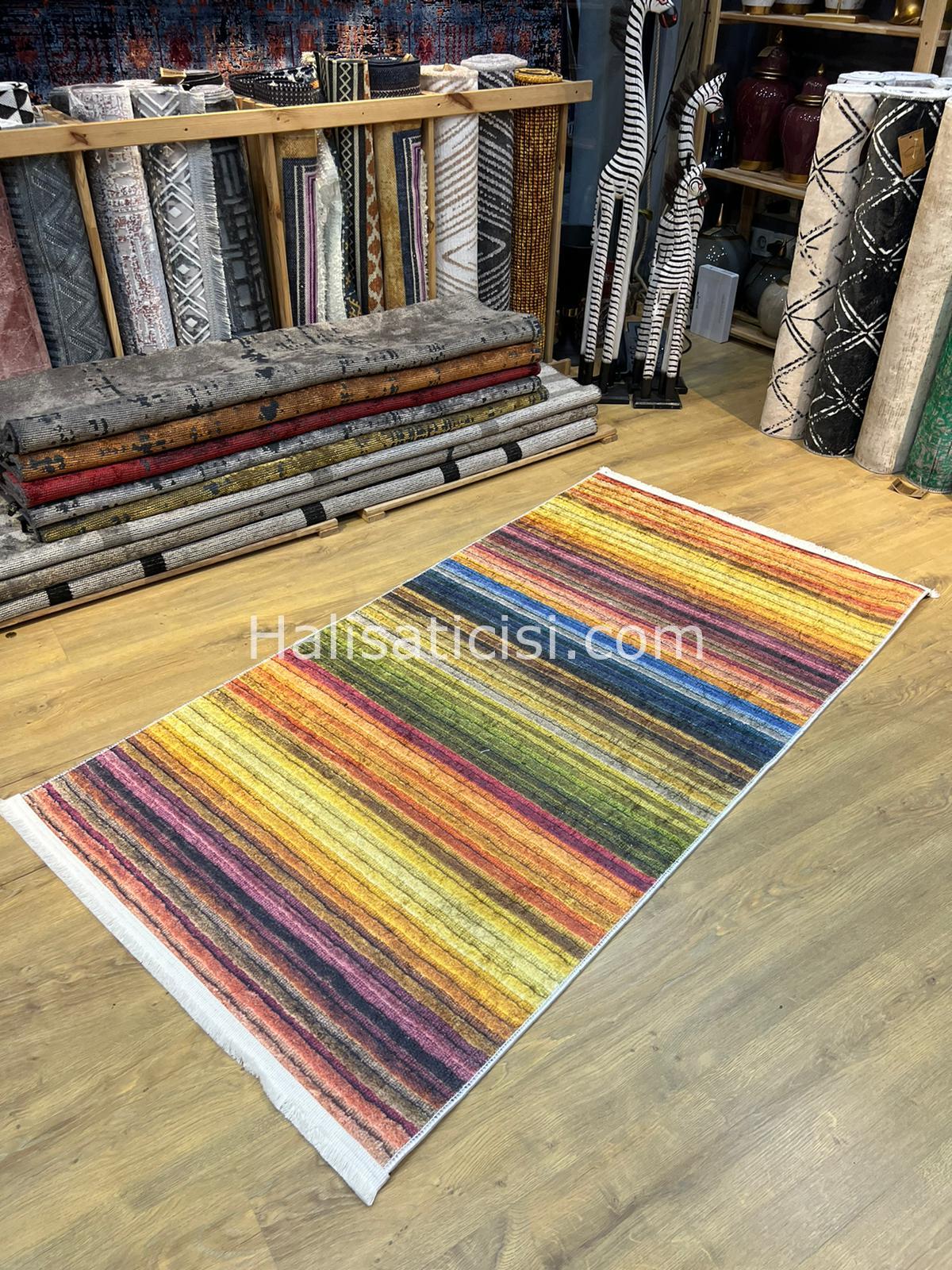 Salerno Çamaşır Makinesinde Yıkanabilir Kilim Halı HS1008 100X200