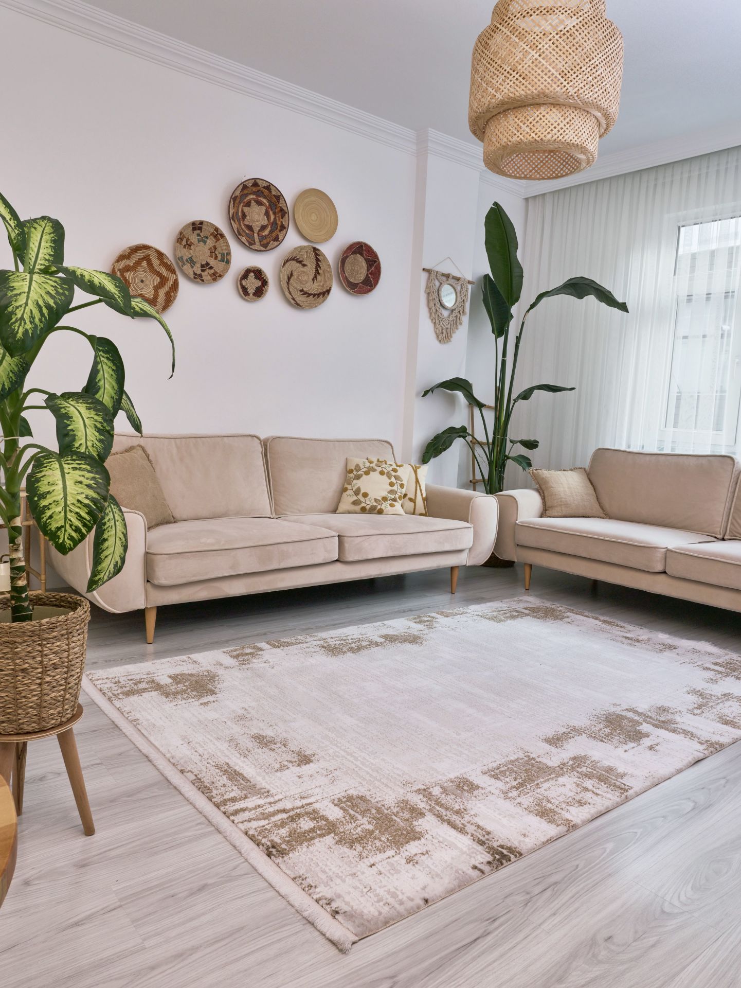 Apex Vivaldi 9722 Vizon