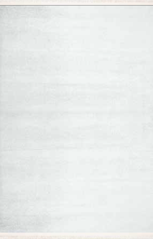 Nexus Luxury Carpet Corridor Düz Renk Halı 8980 Beyaz