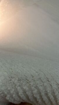 Nexus Luxury Carpet Corridor Düz Renk Halı 8980 Beyaz