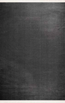Nexus Luxury Carpet Corridor Düz Renk Halı 8980 K.Gri