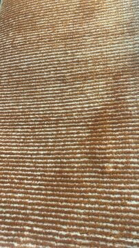 Nexus Luxury Carpet Corridor Düz Renk Halı 8980 Terrai