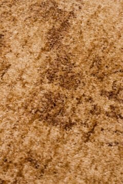 Eko Halı Shiraz SHR01 Beige