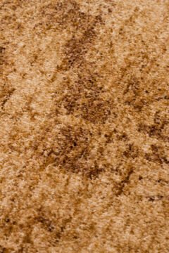 Eko Halı Shiraz SHR01 Beige